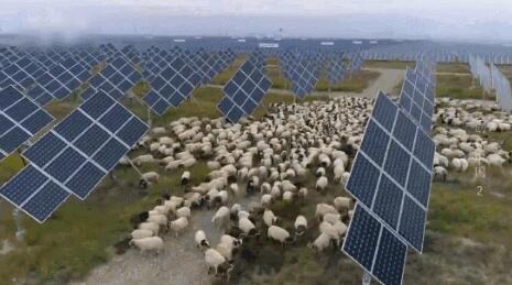 【電廠】2018年水電再次霸屏央視 水光互補(bǔ)項(xiàng)目閃亮登場(chǎng)！【電廠】2018年水電再次霸屏央視 水光互補(bǔ)項(xiàng)目閃亮登場(chǎng)！ 行業(yè)資訊 第6張