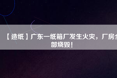 【造紙】廣東一紙箱廠發(fā)生火災(zāi)，廠房全部燒毀！