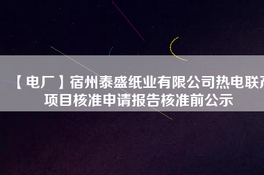【電廠】宿州泰盛紙業(yè)有限公司熱電聯(lián)產(chǎn)項(xiàng)目核準(zhǔn)申請報(bào)告核準(zhǔn)前公示