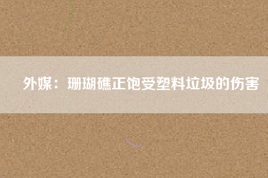 外媒:珊瑚礁正飽受塑料垃圾的傷害