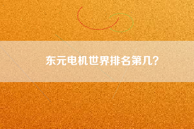 東元電機(jī)世界排名第幾？