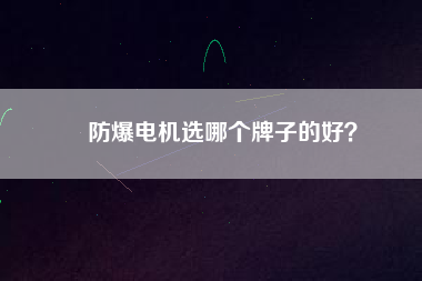 防爆電機(jī)選哪個牌子的好？