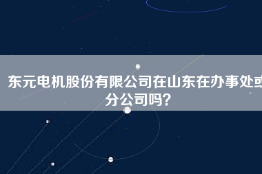 東元電機(jī)股份有限公司在山東在辦事處或分公司嗎？