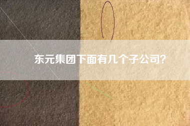 東元集團(tuán)下面有幾個(gè)子公司？