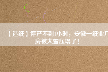 【造紙】停產(chǎn)不到1小時(shí)，安徽一紙業(yè)廠房被大雪壓塌了！