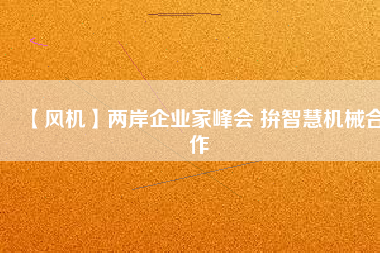 【風(fēng)機(jī)】兩岸企業(yè)家峰會 拚智慧機(jī)械合作
