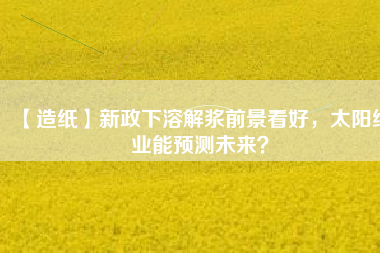 【造紙】新政下溶解漿前景看好，太陽紙業(yè)能預測未來？