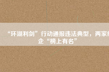 “環(huán)湖利劍”行動(dòng)通報(bào)違法典型，兩家紙企“榜上有名”