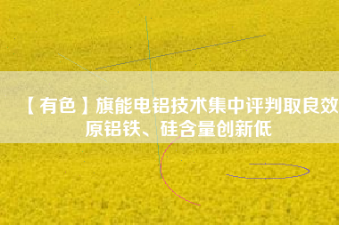 【有色】旗能電鋁技術(shù)集中評判取良效 原鋁鐵、硅含量創(chuàng)新低