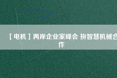 【電機(jī)】?jī)砂镀髽I(yè)家峰會(huì) 拚智慧機(jī)械合作
          