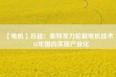 【電機(jī)】呂超:泰特發(fā)力輪轂電機(jī)技術(shù) 2018年國內(nèi)實(shí)現(xiàn)產(chǎn)業(yè)化