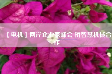 【電機(jī)】兩岸企業(yè)家峰會(huì) 拚智慧機(jī)械合作