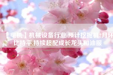 【電機(jī)】機(jī)械設(shè)備行業(yè):預(yù)計(jì)挖掘機(jī)2月環(huán)比持平,持續(xù)超配成長龍頭和油服