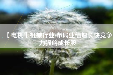 【電機(jī)】機(jī)械行業(yè):布局業(yè)績增長快競爭力強(qiáng)的成長股
